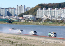 경북 김천서 검출된 조류인플루엔자 바이러스 ‘저병원성’ 확인