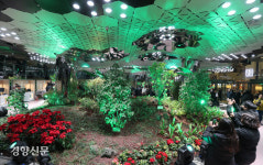 지하에 펼쳐진 ‘태양의 정원’[정동길 옆 사진관]