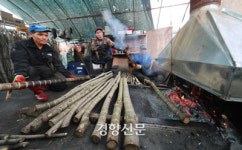 전통방식 그대로…겨울 지리산 옻진액 채취[포토뉴스]