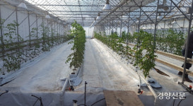 스마트폰 강자 대한민국, 스마트팜 시장에 도전