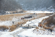 “한탄강서 얼음트레킹 즐기며 주상절리 감상하세요”…2020철원한탄강얼음트레킹축제 내년 1월11일 개막[철원군]