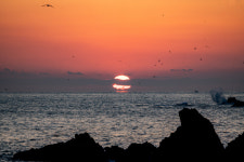 (26)해 돋는 장관, 흥 나는 장터, 밥 부르는 장치…동해에 마음이 동해[지극히 味적인 시장]