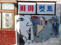 한국의 벽화마을- 01.이화벽화마을[정동길 옆 사진관]
