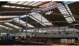 보름에 한 명···채광판에서 사람이 떨어져 죽는다