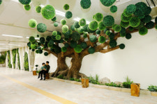 강남구, 청담역에 ‘미세먼지 프리존’ 조성[서울25]