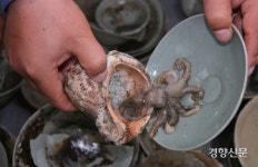 주꾸미도 청자를 찾는데···우연히 길가서 발견한 것이 국보라면[이기환의 흔적의 역사]