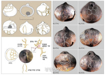 김수로왕은 동생…장난감 방울에 그린 대가야 신화[이기환의 흔적의 역사]