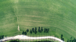 3월5일 청정구역이 있다면 여기가 아닐까 [경향이 찍은 오늘]