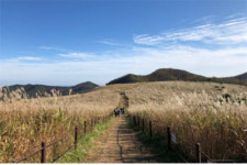 경주 토함산 국립공원 일부 구간 탐방예약제 시행[경주시]
