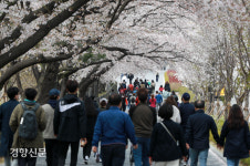 봄꽃 향기에 코로나 경각심 느슨해졌나…공원·산책로, 시민들로 북적