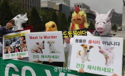 건강, 동물, 환경 살리는 채식[오늘, 광화문]