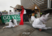 건강, 동물, 환경 살리는 채식[오늘, 광화문]