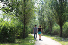 서울시, ‘한강숲’ 조성 5년 만에 100만그루 돌파 전망