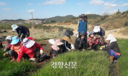 ‘전남에서 먼저 살아보기’ 함평 안악마을 2년 연속 선정[함평군]