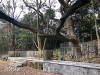 제주도, 마을 민간신앙 담긴 ‘한남리 본향당’ 향토유형유산 지정