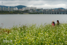 어느날 내가 즐겨찾던 산과 공원이 사라진다면…[정리뉴스]