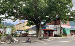 괴산, 60년 시골주민 돌본 ‘청인약방’ 관광자원화