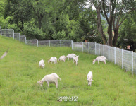 달빛독서·약초족욕·치유카페...코로나19 우울증 해소는 이걸로