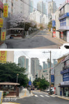 양천구, 목동초 이면도로 확장…안전하게 통학해요[서울25]