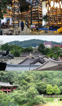 전주 와서 한옥마을만 가냥? 길냥이 먹이 따라와보라옹