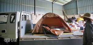 수마에 내쫓긴 소는 돌아왔지만···시름은 아직 마르지 않았다[포토다큐]