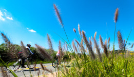 하늘을 달리다[포토뉴스]