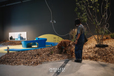 개가 관람객인 전시는 어떤 모습일까? 국립현대미술관의 개를 위한 미술관