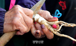 그래도 추석…구례·하동의 5일장