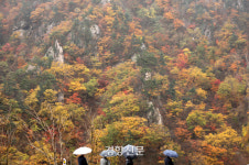 잠들지 않으려고 계속 움직였다...설악산에서 길 잃은 77세 남자, 3일만에 살아돌아와