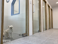 노원구, 유기동물과 반려견, 반려인 모두를 위한 댕댕이하우스 개관[서울25]