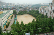 경기지역 모든 신설학교 학교 숲 조성[경기도]