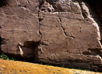 울산 반구대암각화 모니터링·관리체계 개발···용역착수[울산시]