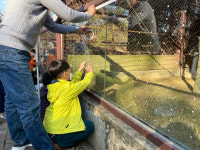 청주동물원 사육사 유리창에 작은 점이 생긴 이유는?