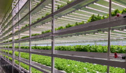 이제 아파트단지에 식물농장을 만든다고...어떻게?