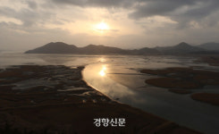 순천만습지에서 인간은 단지 객이었다.[정동길 옆 사진관]
