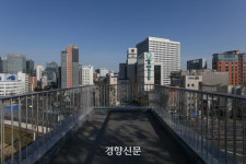 흔적의 역사, 남산 예장자락 위의 저 소나무![정동길 옆 사진관]