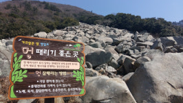 ‘바다 멍’ 때리며 코로나 근심 내려놓기…전남 안심여행지 50선