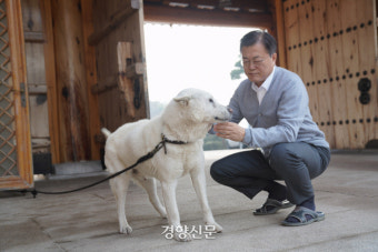 반려견·반려묘와 설 명절 보내는 문 대통령