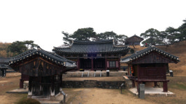 오매불망 기다린 봄…희망도 꽃피우리다