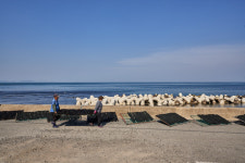 (50)포항의 봄, 달곰한 미역맛[지극히 味적인 시장]