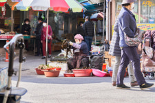(50)포항의 봄, 달곰한 미역맛[지극히 味적인 시장]