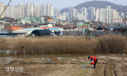느슨해진 농지법, 만만해진 투기