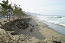 침식 ‘저감’ 시설 갖췄나…모래 깎여나간 맹방해변, 파도가 무섭다