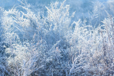 오래 봐야 예쁘다 정원도 그렇다