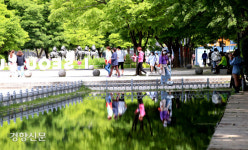 초여름 날씨에 숲 찾은 시민들[포토뉴스]