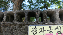 녹슨 간판·금 간 담벼락…강릉의 공기에 더해진 세월의 맛