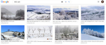 이것은 강원이 아니다[알아보니]