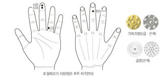 고려수지침학회, 코알레르기 완화 및 개선 치방 공개