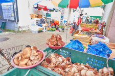 (56) 적당한 온도·습도·바람을 만나 오월에 피어나는 ‘부여의 향’[지극히 味적인 시장]