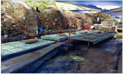 반세기만에 돌아와 단장한 청학계곡 이젠 “우리 것”…1일 새 이름·모습으로 개장